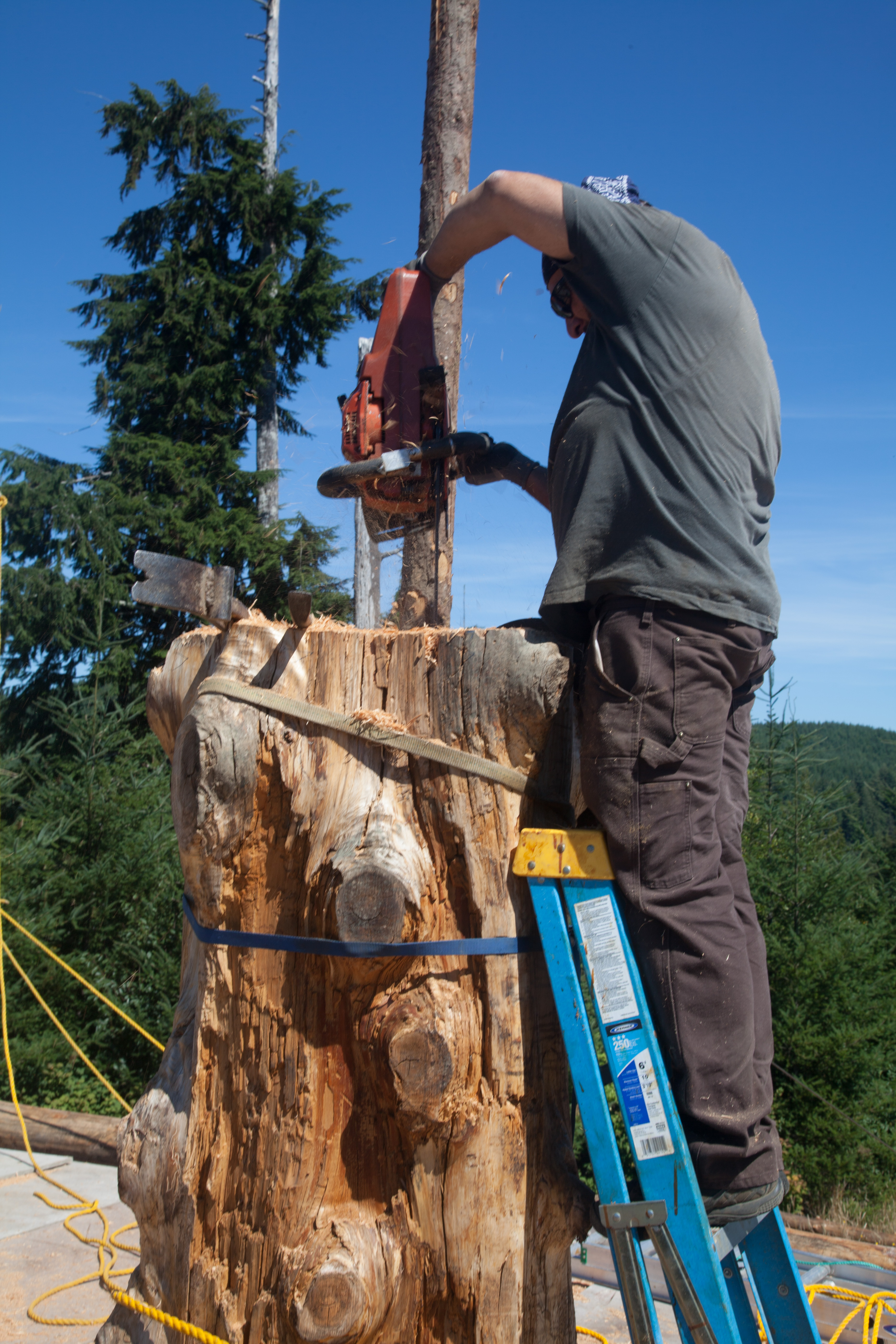 Springpole Tree Ridgepole Raised! | logcabinfromscratch